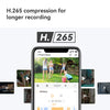 Cruiser Dual 2 (6MP)