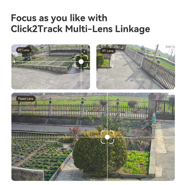 Cruiser Triple (11MP)